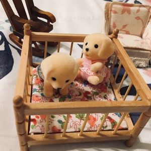 Cute minature puppies and furniture